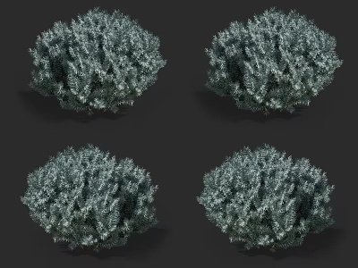 Evergreen Shrubs With Round Shape And Dense Foliage 3D Render 3d model
