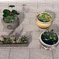 Aquarium Fish Tank Decor With Ceramic Containers Lotus Leaves And Stones