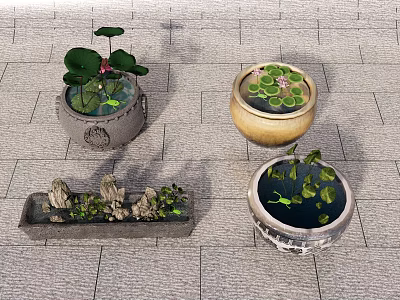 Chinese Water Tank Lotus Waterscape 3d model