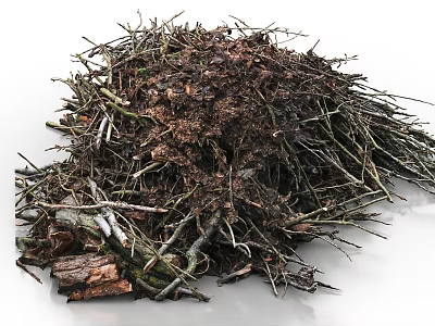 Stone and Wood Pile With Twigs Soil and Natural Organic Materials 3d model