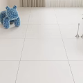 White Floor Tiles In Bright Interior With Blue Plush Toy And Green Plant