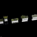 Rectangular White Planters with Potted Green Plants and Pink Flowers on Stands 3d model