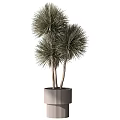Modern Decorative Ornament Set with Various Potted Plants and Stylish Planters