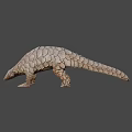 Realistic Pangolin 3D Model With Detailed Scaled Body And Armor Texture 3d model