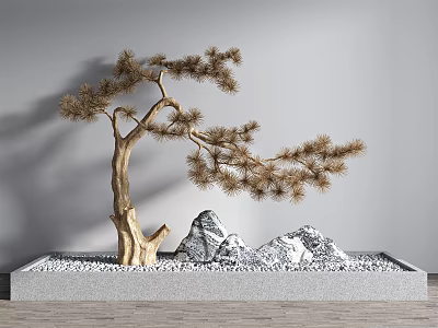 Decorative Pine Tree in Square Planter with White Pebbles Gray Rocks and Wooden Floor 3d model