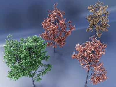 Various Colored Trees With Lush Foliage In Different Natural Tones 3d model