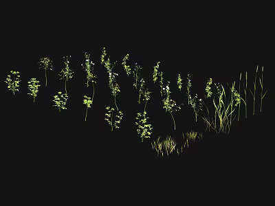Green Herb Grass And Flower Silhouettes On Black Background With Various Shapes 3d model