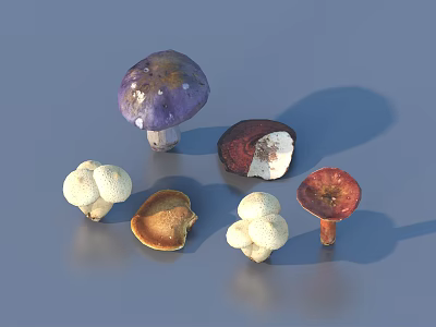 Diverse Colorful Mushroom Plant Combination With Various Shapes Colors And Textures 3d model