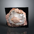 Fossil Sculpture Embedded in Red Brown Rock with Marine Creature Skeleton on Black Display Stand