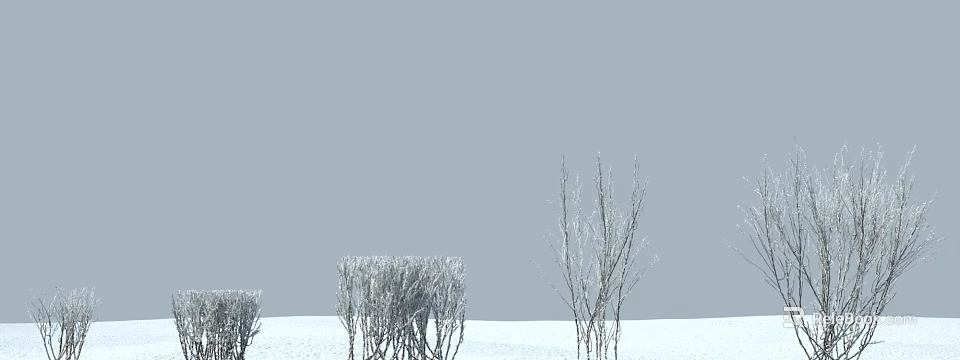 Grass And Flower Plants Covered With Frost In Snowy Winter Landscape 3d model 