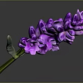 Purple Lavender Bouquet With Green Stem And Leaves On Dark Background
