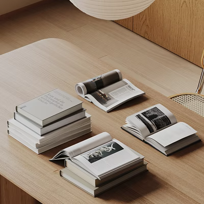 Books And Magazines Arranged On Wooden Table 3d model