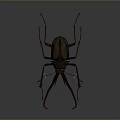 3D Rendered Beetle With Long Red Antennae And Metallic Dark Body