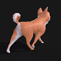 Cute Orange And White Cartoon Shiba Inu With Curled Tail On Black Background