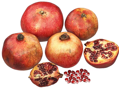 Fresh Ripe Pomegranates Whole and Cut with Vibrant Red Seeds 3d model