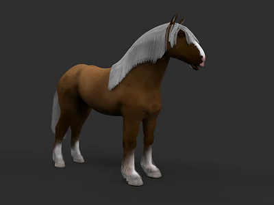 Brown Horse With White Mane Tail And White Legs Standing Pose 3d model