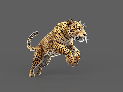 3D Rendered Spotted Leopard Jumping In Gray Background With Realistic Details 3d model