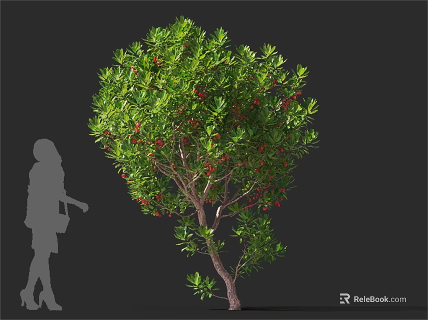 Tall Arbor With Lush Green Leaves And Red Fruits Beside Human Silhouette 3d model 