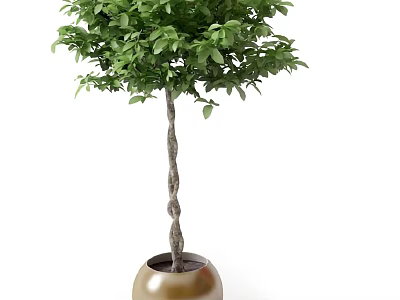 Bonsai Potted Plant With Twisted Trunk And Lush Green Leaves In Bronze Pot 3d model