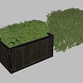 Lush Bonsai Potted Plants in Wooden Planter and Cube Shaped Green Foliage