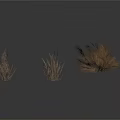 Three Clumps of Dry Grass on White Background with Natural Texture