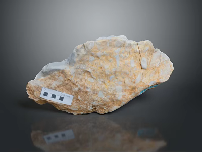 Natural Stone And Wood Specimen With Small Label On Dark Reflective Background 3d model
