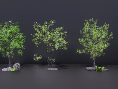 Three Ornamental Arbor Trees with Stones and Small Plants on Grey Background 3d model