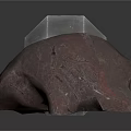 Wood And Stone Decorative Objects With Different Shapes And Colors