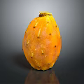 Orange Yellow Prickly Pear Fruit With Small Spines On Dark Background Surface
