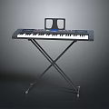 Portable Electronic Keyboard With Sturdy Adjustable Stand And Digital Musical Keys
