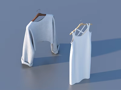 Light Gray Long Sleeve Top and White Sleeveless Dress Hanging on Hangers Against Gray Background 3d model