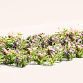 Colorful Flowers and Plants with Colorful Blooms Green Leaves Arranged in a Row on White Background