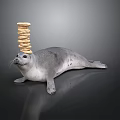 Adorable Gray Seal Balancing Stack of Cookies on Head Against Dark Background