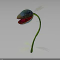 Colorful Flower Plant with Blue Red Petals Green Stem and Fern Leaves on Dark Background