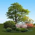 Various Shrubs with Green Pink Red Foliage Surrounding Big Tree on Grassland Under Blue Sky