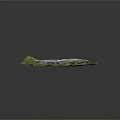 Natural Green Grassland With Large Gray Rock And Lush Vegetation