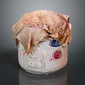 Shuangxi Rice Cooker Covered With Cloth And Adorned With Stickers And Control Buttons