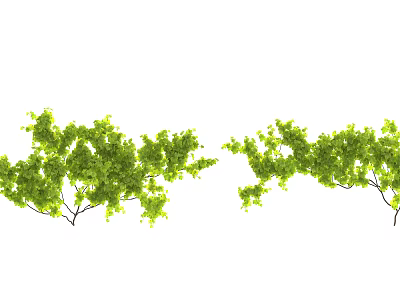 Lush Green Vines With Dense Foliage And Twining Branches For Natural Garden Decor 3d model