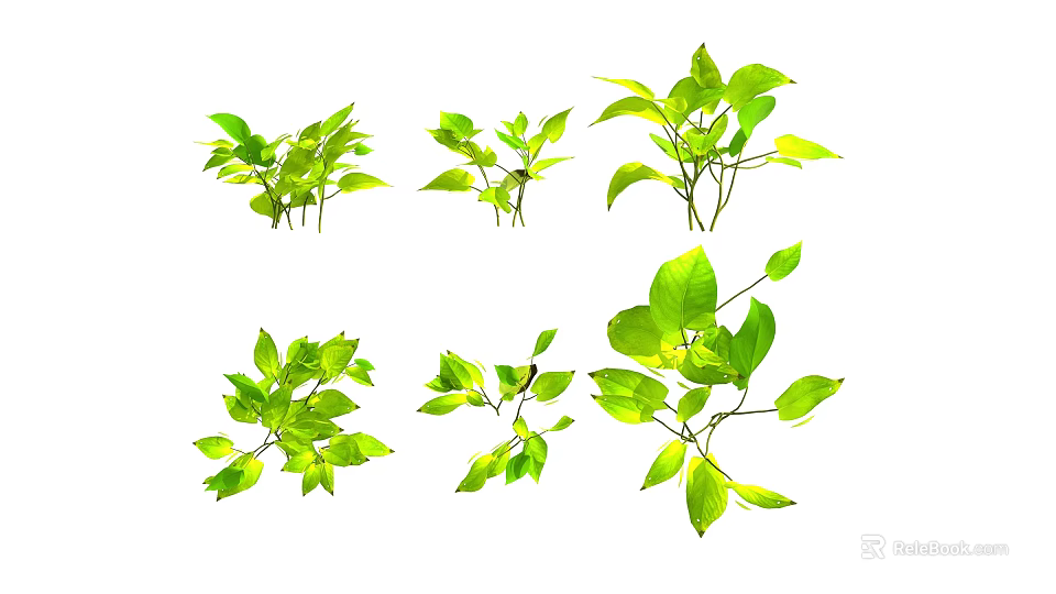 Various Green Shrub Branches With Fresh Leaves Isolated On White Background 3d model