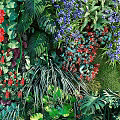 Living Plant Wall with Colorful Red Purple Flowers and Various Green Foliage