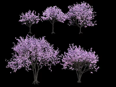 Purple Flowering Arbor Trees With Dense Blossoms And Slender Trunks 3d model