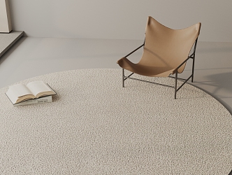 Modern Round Carpet 3d model