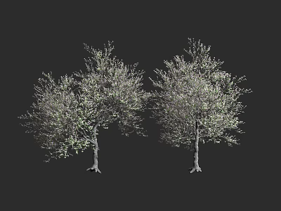 Elegant Tree Planter With Two Trees Featuring Green Foliage And Trunks 3d model