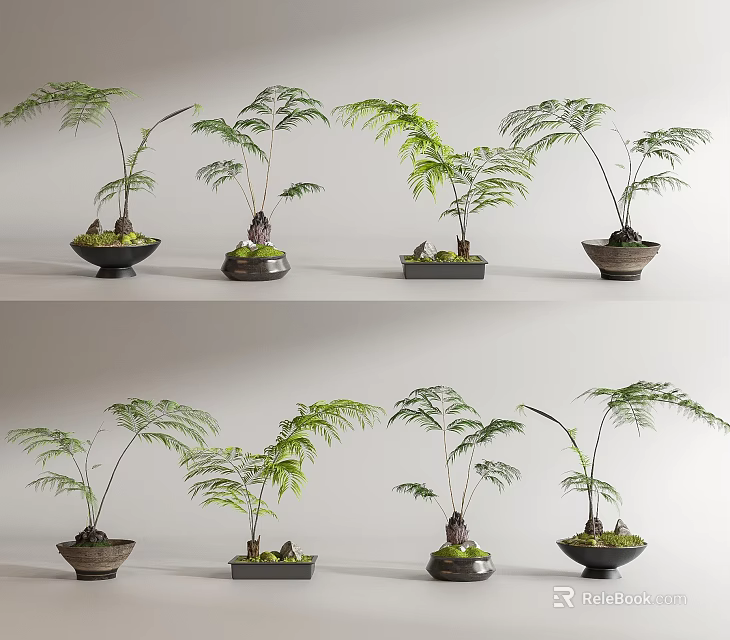 Leafy Green Fern Bonsai Potted Plants with Ceramic Pots and Display Arrangement for Indoor Decor 3d model 