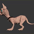 Pink Fantasy Dog Creature With Large Ears Big Eyes Collar And Tongue Out