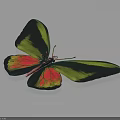 Vibrant Butterfly With Green Black And Red Wings Isolated On White Background