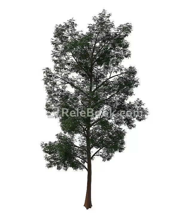green tree 3d model