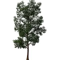 green tree 3d model