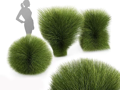 Garden Decorative Accents Featuring Green Round And Conical Grass Like Plants 3d model