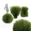 Garden Decorative Accents Featuring Green Round And Conical Grass Like Plants
